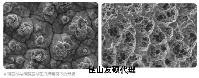 城口蔡司城口扫描电镜