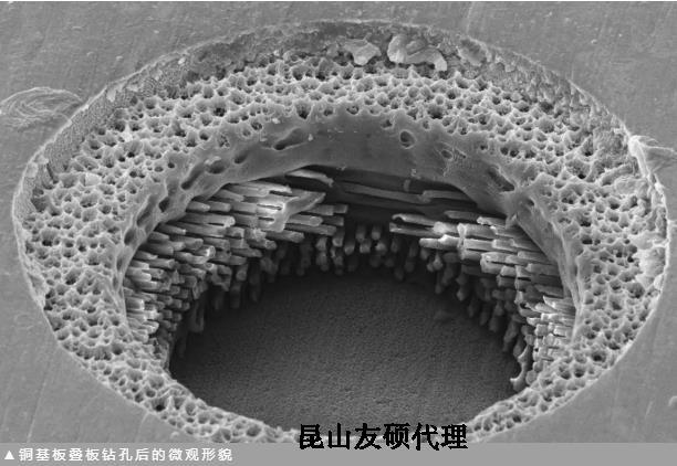 城口蔡司城口扫描电镜